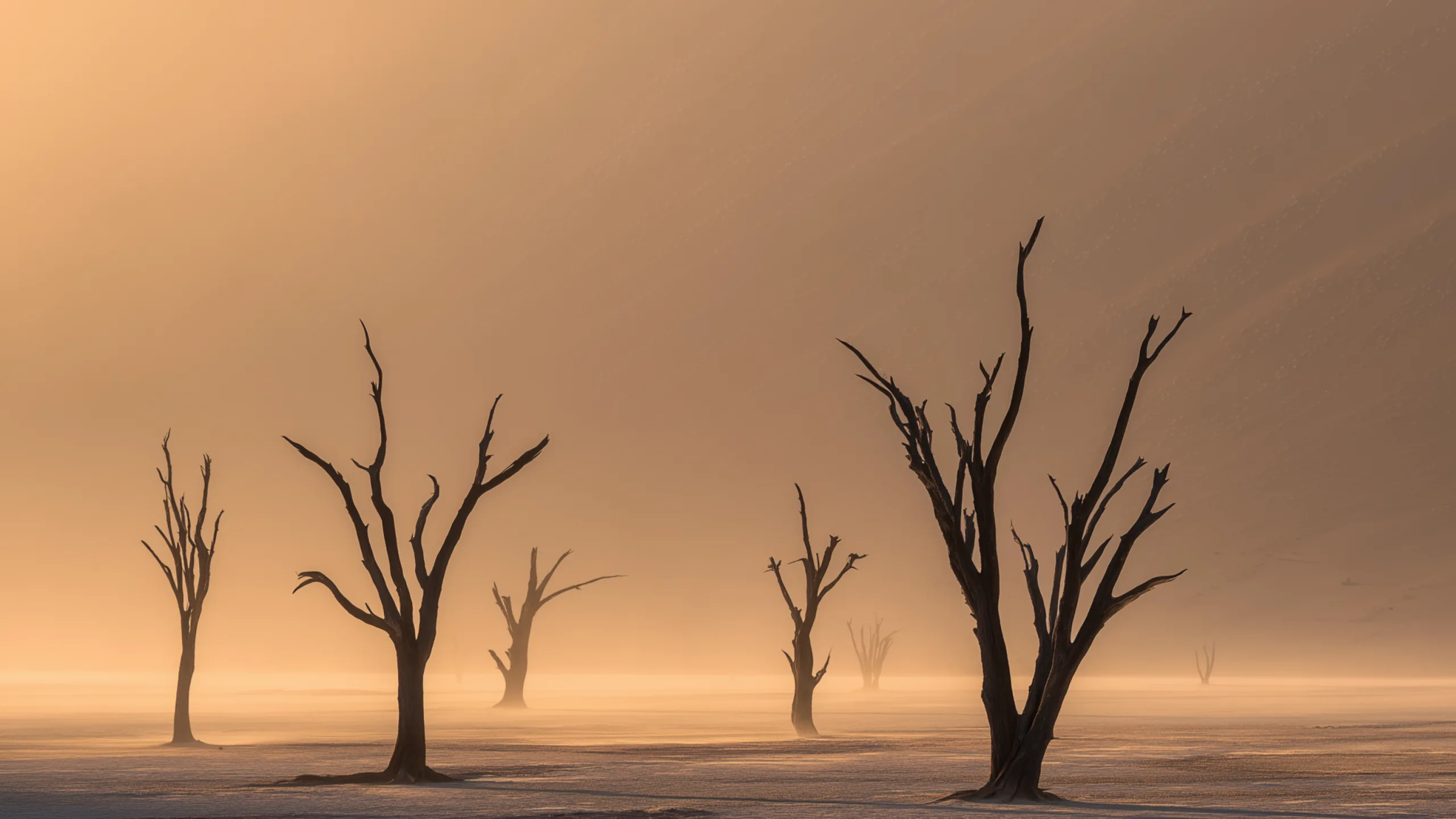 Mist over the Deadvlei pan at sunrise, on a MacBook screen