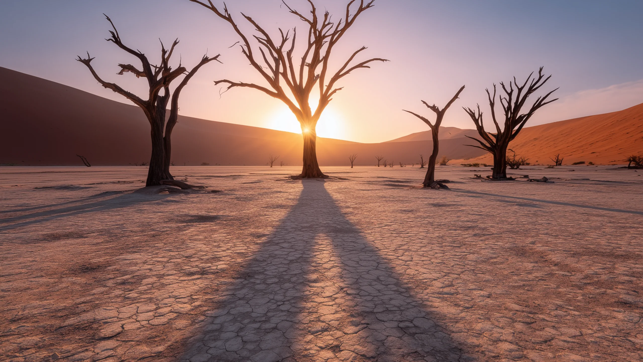 Deadvlei at sunrise, looking into the sun through the dead trees, on a side monitor